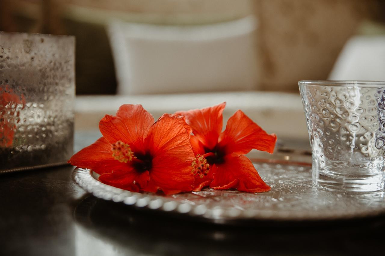 Bed and Breakfast Le Bled Ferme Lahebichate Экстерьер фото